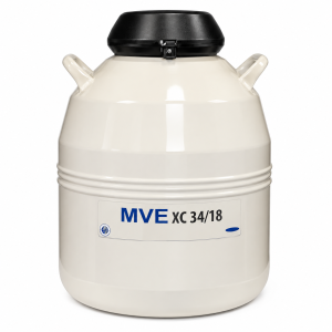 34/18 Americano (MVE XC 34/18) / XT-34